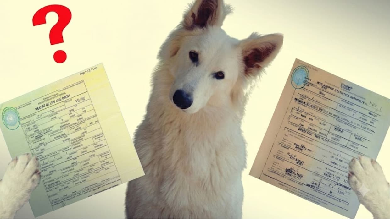 What do you do if you have two Philippine Birth Certificates?