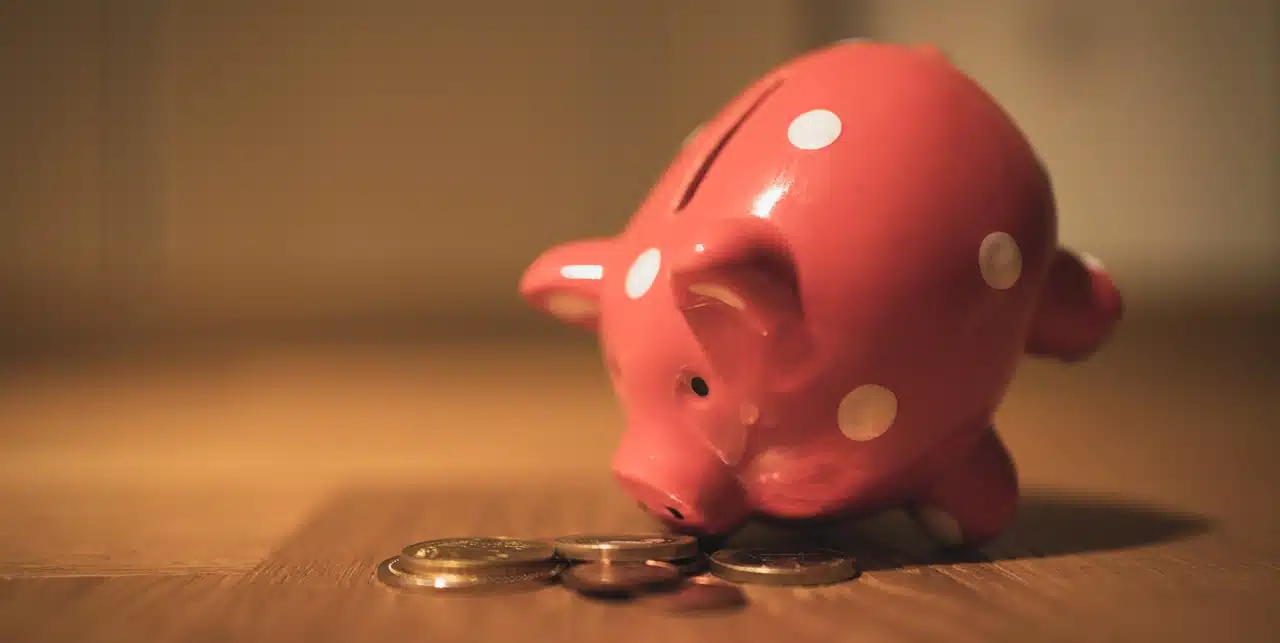 Coins and a piggybank
