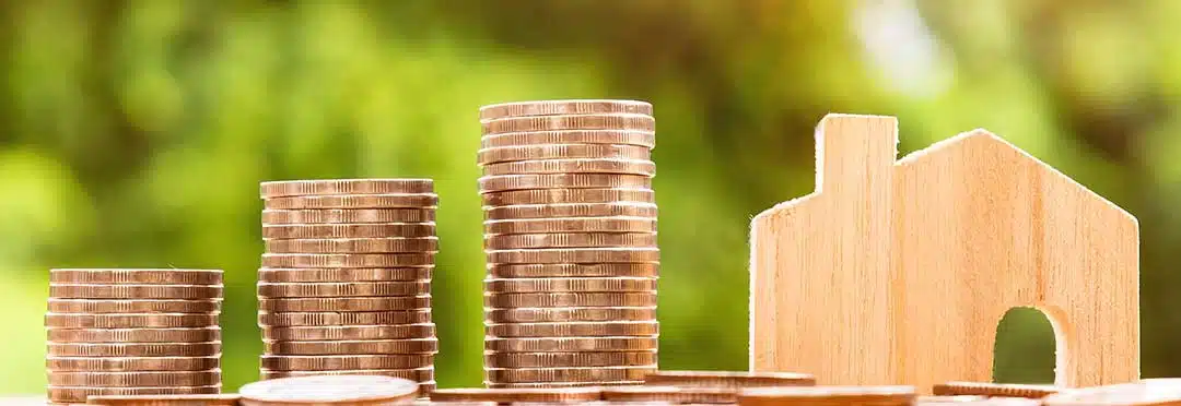 A lot of coins and a graph of toy house