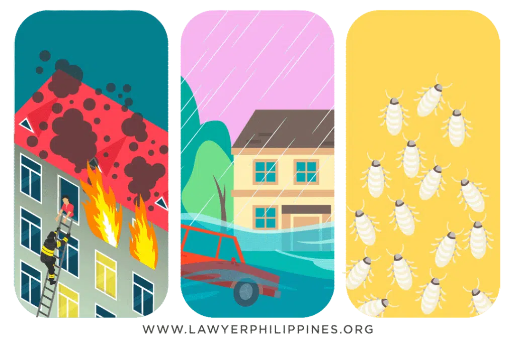 Three images showing a house on fire, a house which is flooded and termites. These are some ways important legal documents may be lost or destroyed.