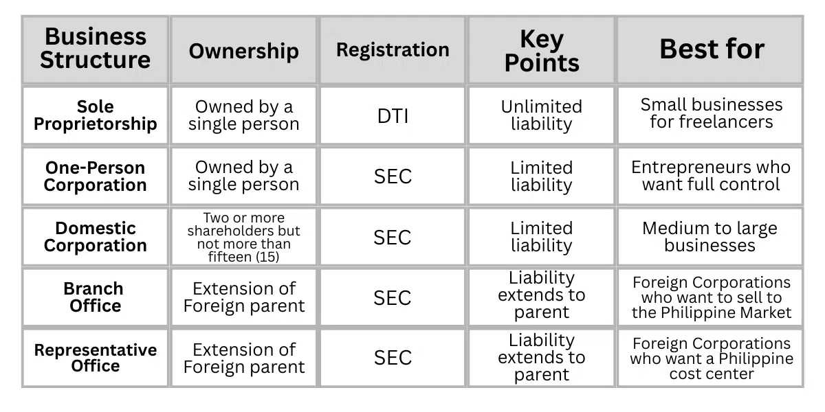 Limited liability company Philippines: Understanding the limitations and benefits of a LLC .