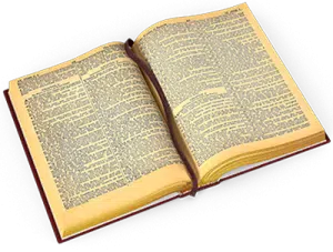 A Bible as a priest served as an expert witness.